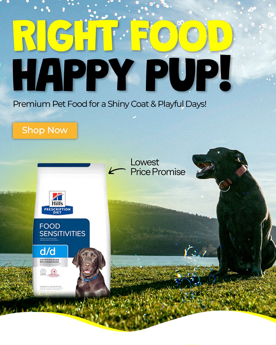 Fish Care Made Easy!